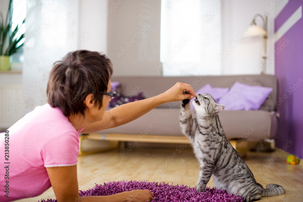 Obraz na plátně Frau gibt Katze eine Belohnung