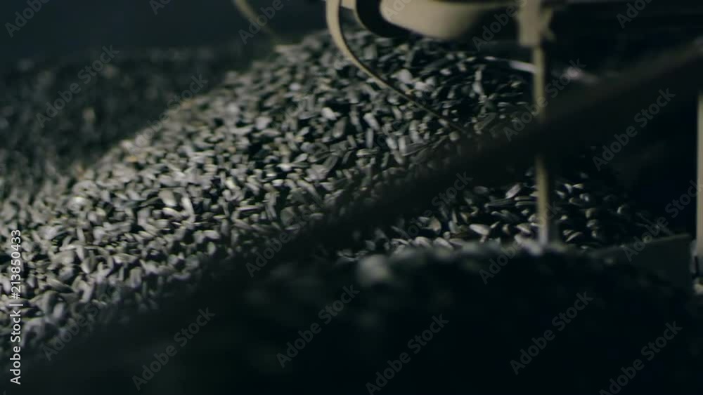 Preparation of seeds for sale at the plant