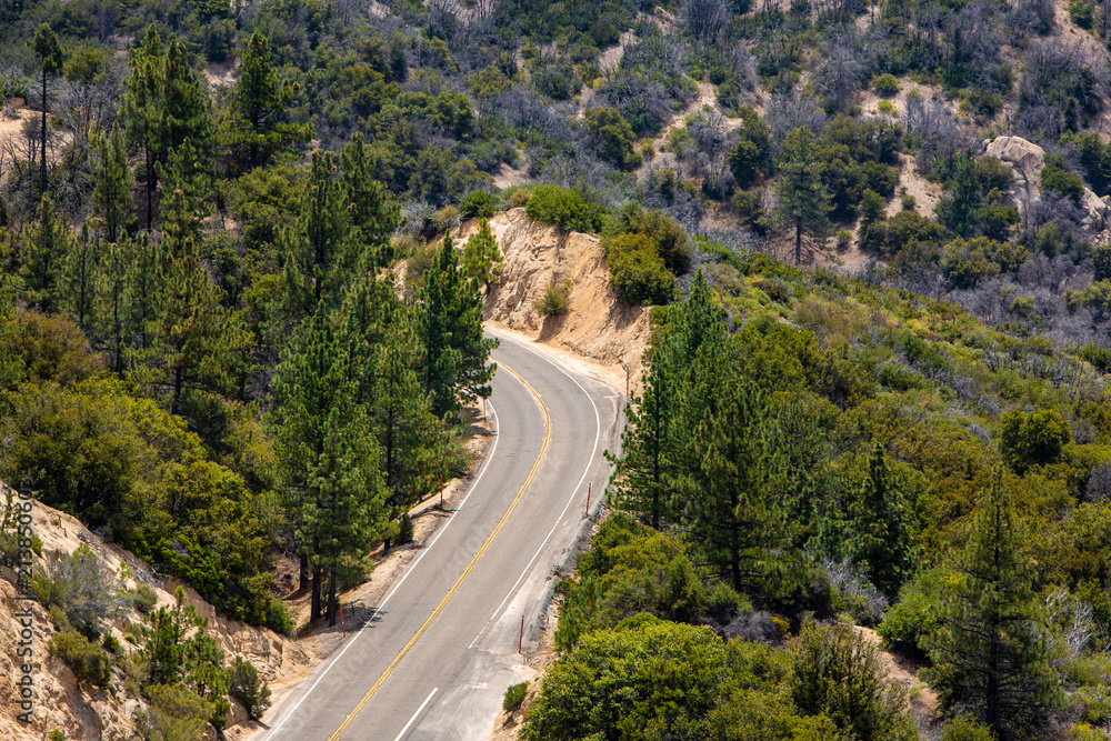 A winding mountain road through the national forest in Los Angels, California