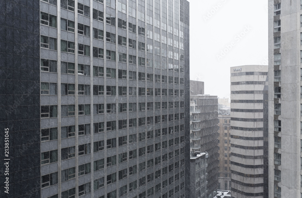 city views in the winter city views in the winter