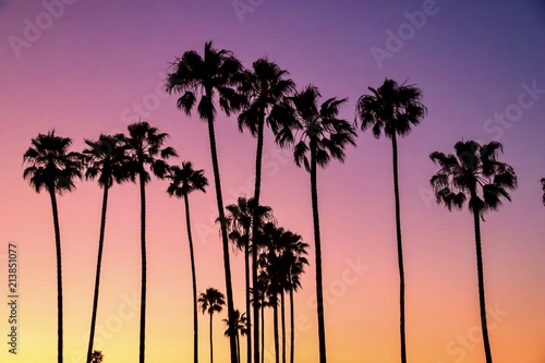 Palm trees with multicolored pastel sky