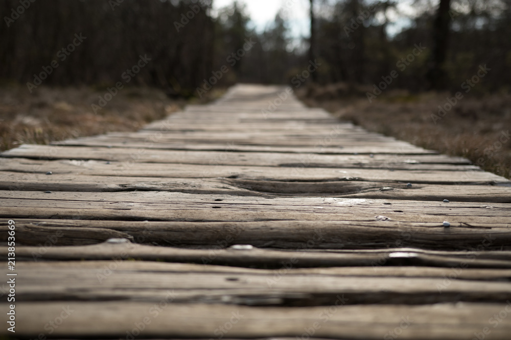 Wooden path