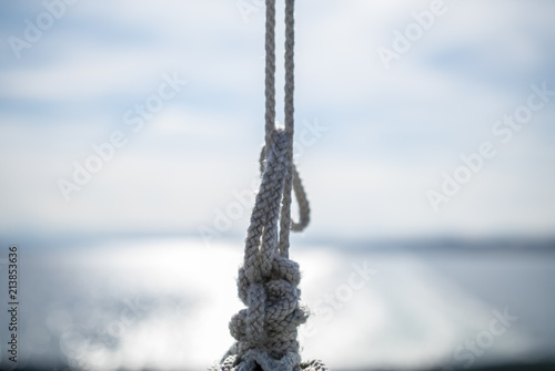 Obraz na płótnie Knot w salonie