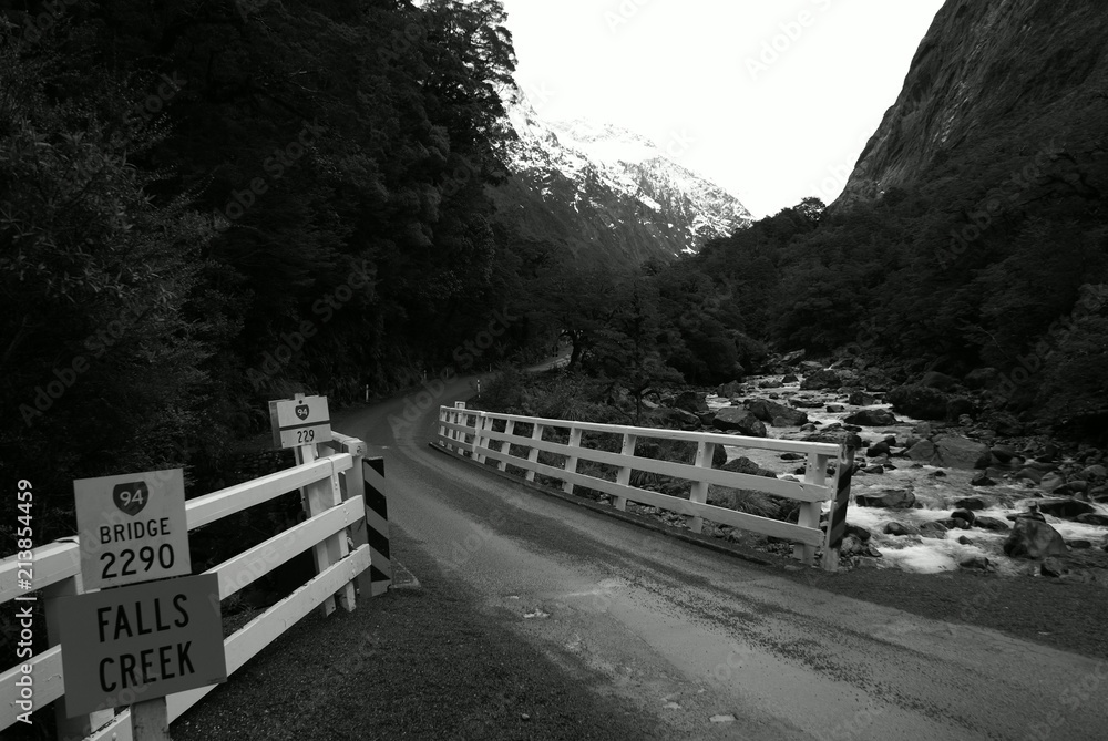 Bridge
