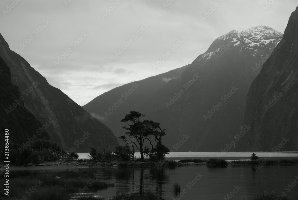 Milford Sound 3