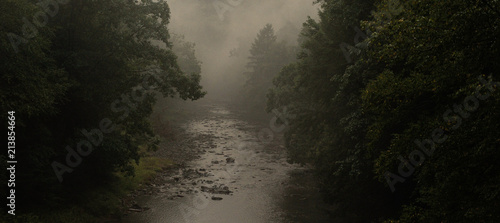 foggy river © Danielle