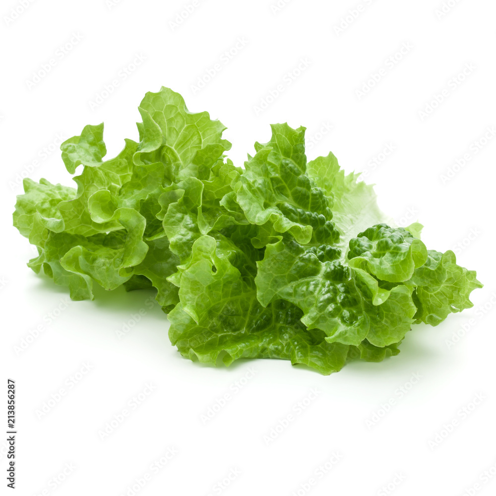 fresh green lettuce salad leaves isolated on white background fresh green lettuce salad leaves isolated on white background
