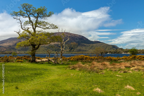 Typical Irish landscape. Amazing fresh green grass, blue sky with clouds, amazing nature, lake, shore. Very popular travel destination. Mountains, meadows, lakes, ocean, sea. Eire.