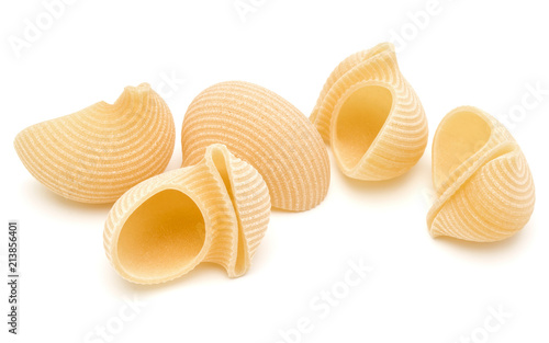 Italian lumaconi isolated on white background. Lumache, snailshell shaped pasta. © Natika