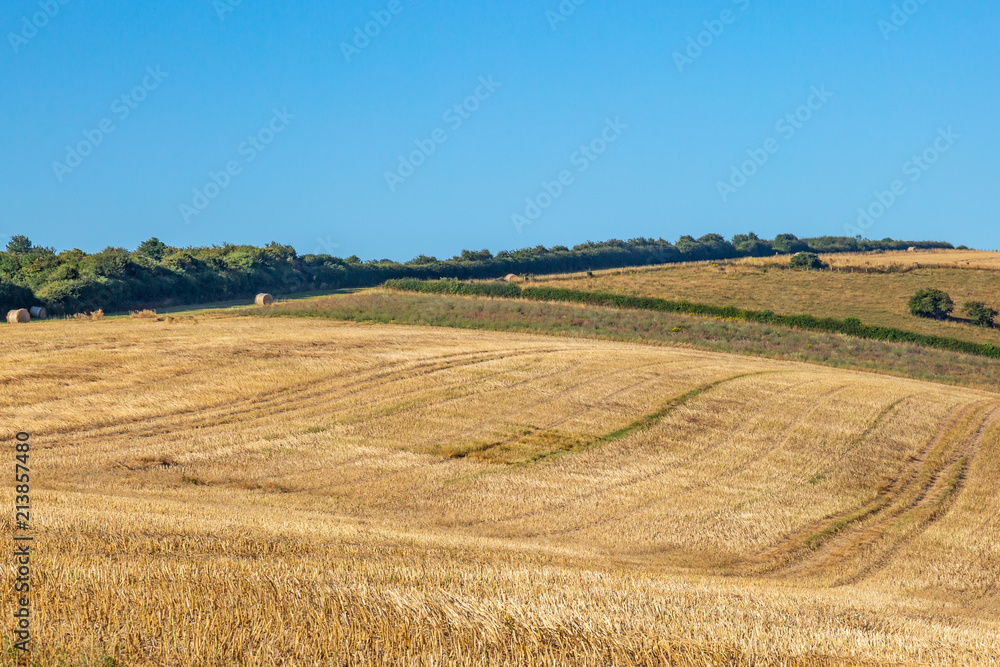 A harvested field in the Sussex countryside, on a sunny summer's day