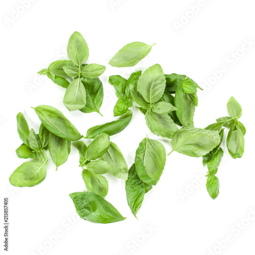 Sweet Genovese basil leaves background arrangement isolated on white. Top view.