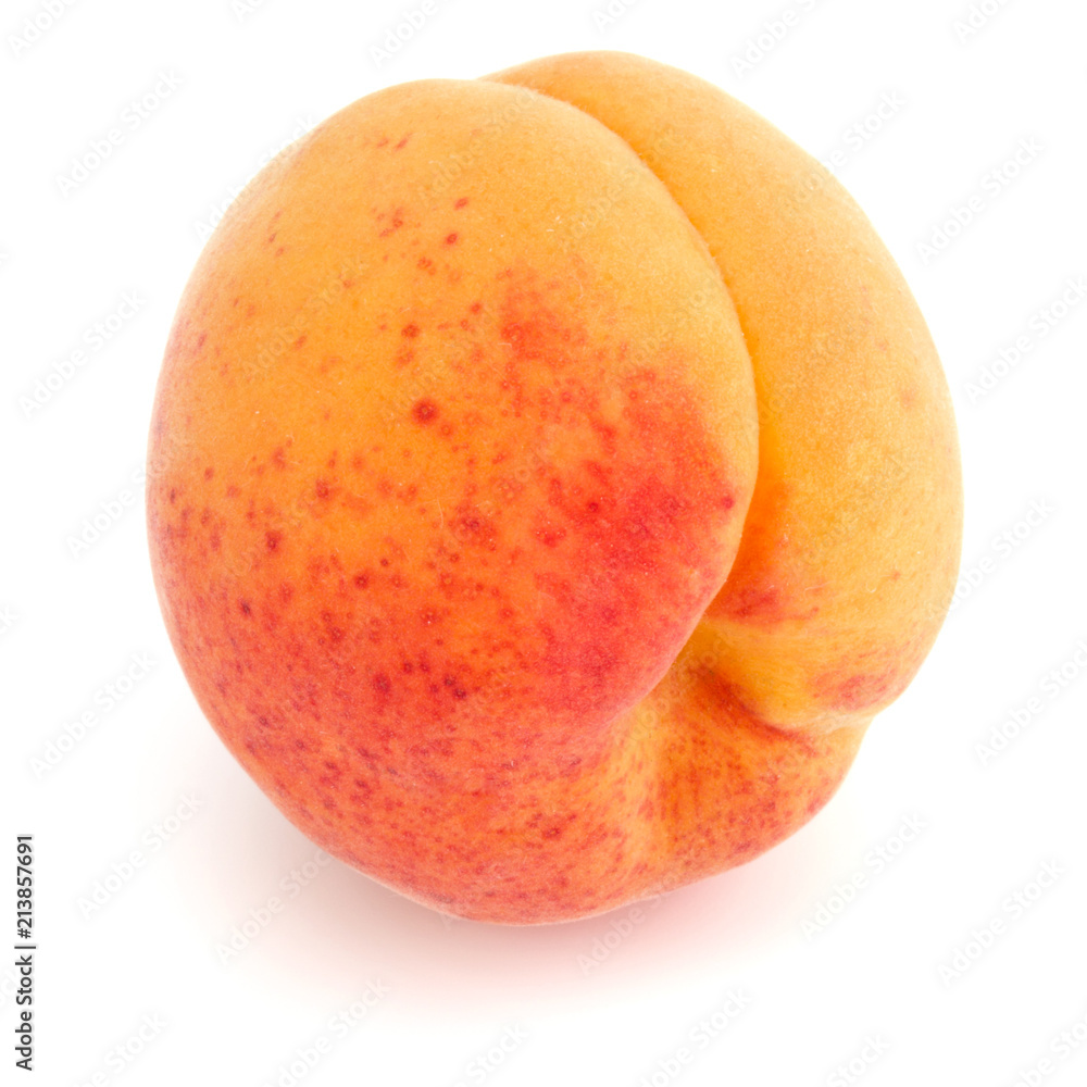One apricot isolated on white background cutout One apricot isolated on white background cutout