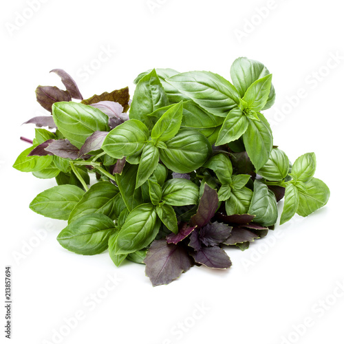 Varieties of basil bouquet isolated on white background cutout.