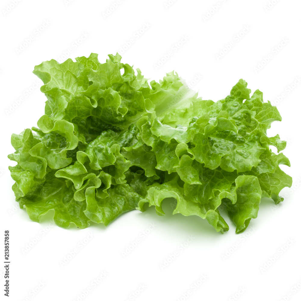 fresh green lettuce salad leaves isolated on white background fresh green lettuce salad leaves isolated on white background