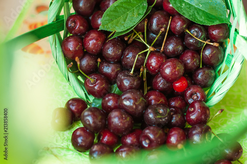 Summer mood: a composition of fresh cherries in a wooden basket. Close-up.	