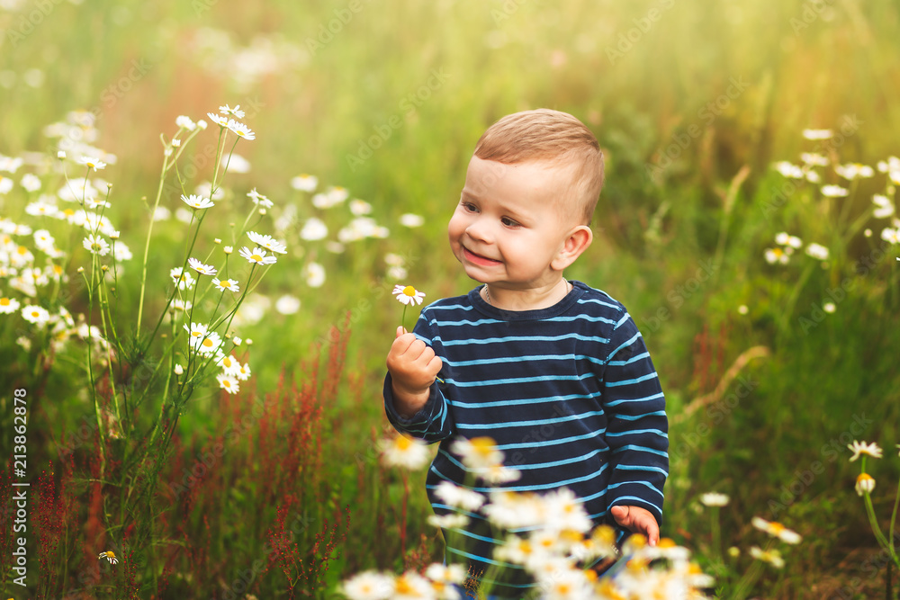 little boy in the glade of chamomiles in summer
little boy in the glade of chamomiles in summer