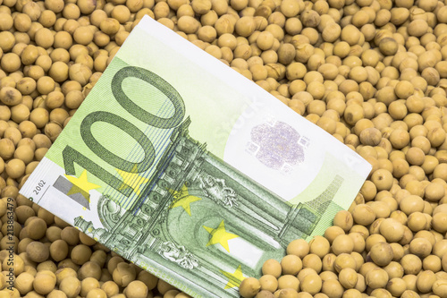 Agricultural concept, soybean at 100 Euro banknote