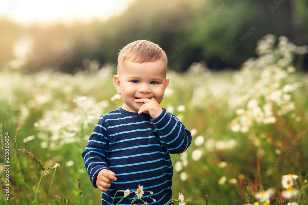 little boy in the glade of chamomiles in summer
little boy in the glade of chamomiles in summer