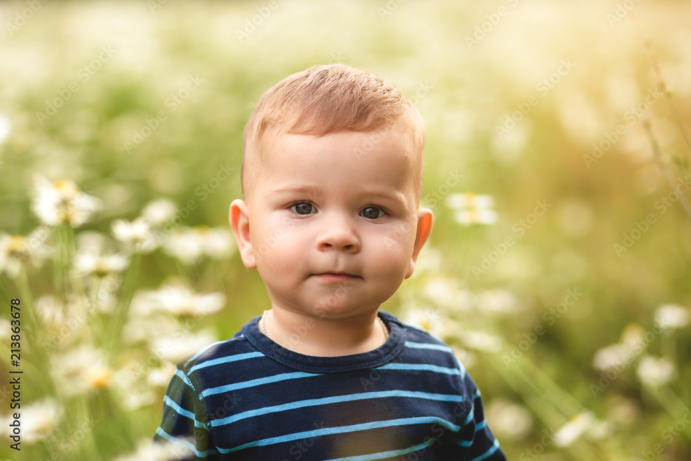 little boy in the glade of chamomiles in summer
little boy in the glade of chamomiles in summer