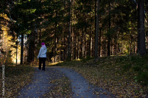 walking in autumn forest