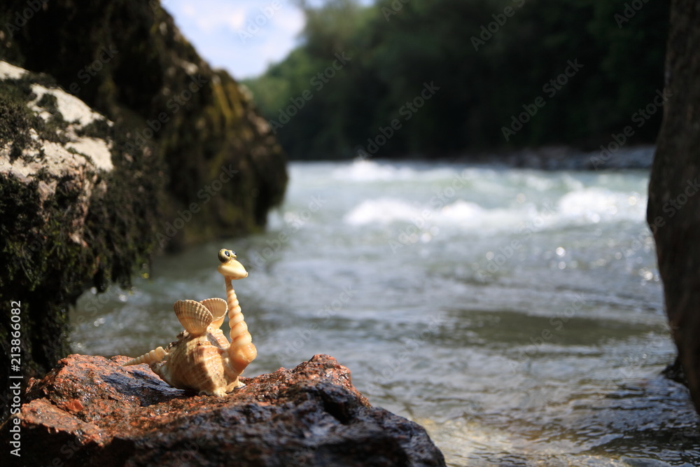 Image of a dragon made of shells. Handmade.