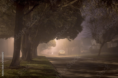 Foggy night