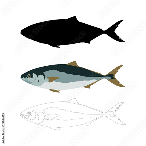 fish tuna vector illustration flat style black silhouette 