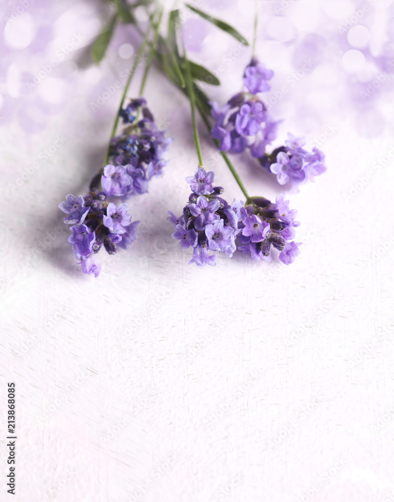 Obraz premium Fresh lavender flowers on pink background.