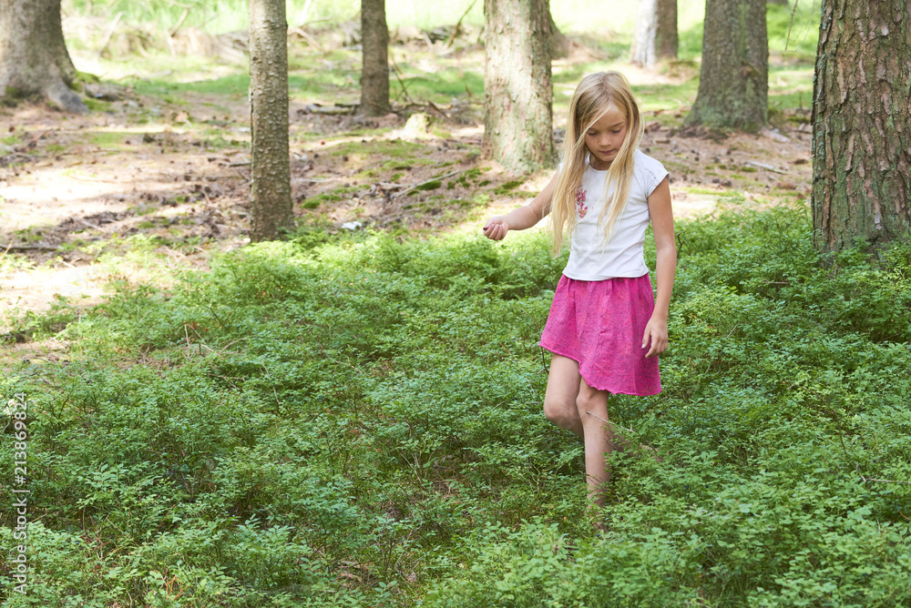 Child blond adorable girl picking fresh berries on blueberry field in forest. Child pick blueberry in the woods. Little cute girl playing outdoors. Summer family fun.
Child blond adorable girl picking fresh berries on blueberry field in forest. Child pick blueberry in the woods. Little cute girl playing outdoors. Summer family fun.