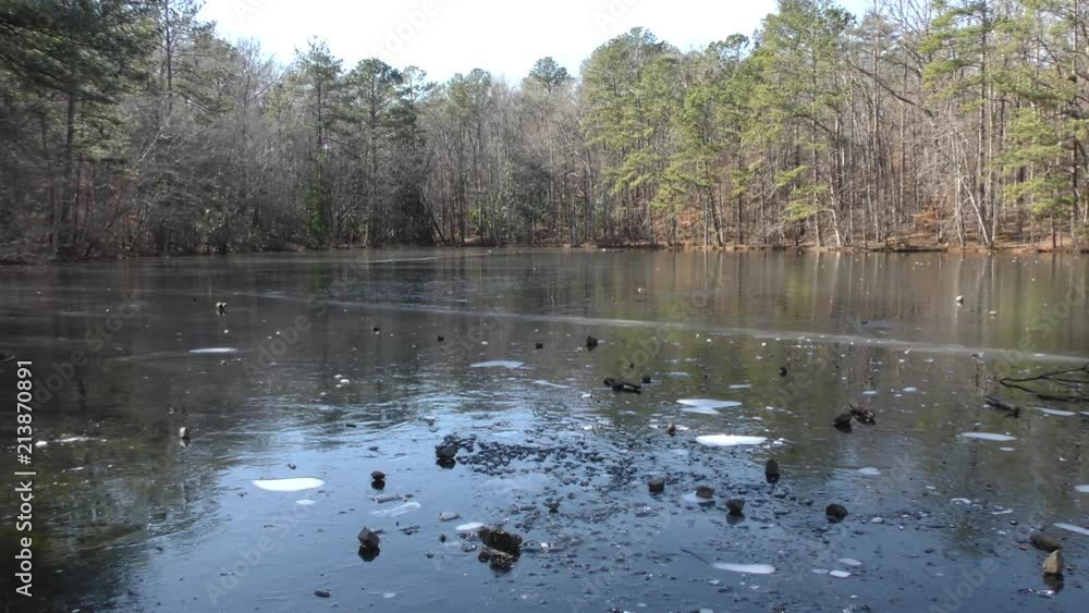 Georgia, Sope Creek Trail, A zoom in on a frozen pond near the Sope Creek Trail Georgia, Sope Creek Trail, A zoom in on a frozen pond near the Sope Creek Trail