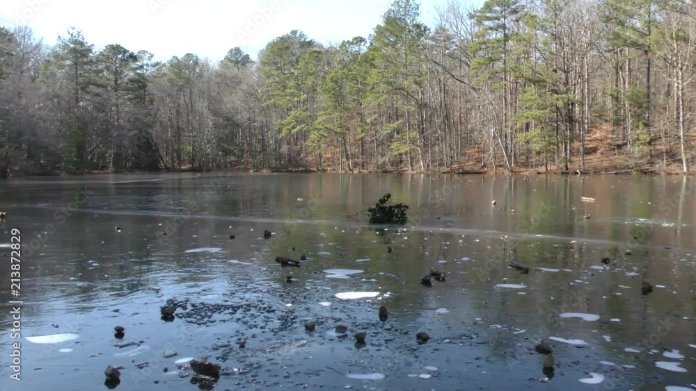 Georgia, Sope, Creek Trail, A view of wind moving a branch on a frozen pond, left to right Georgia, Sope, Creek Trail, A view of wind moving a branch on a frozen pond, left to right