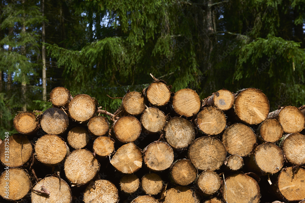  Natural wooden background - closeup of chopped firewood. Firewood stacked and prepared for winter. Pile of wood logs. Selective focus
