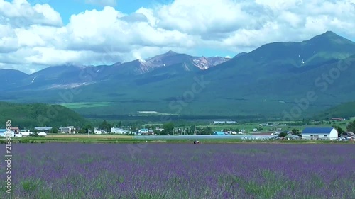 富良野のラベンダー畑と噴煙を上げる十勝岳連峰