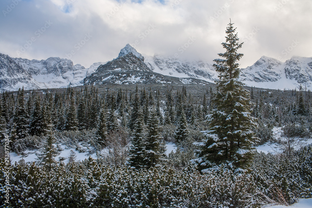 Tatra mountains panorama. 