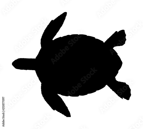 Sea turtle vector silhouette illustration isolated on white background. 