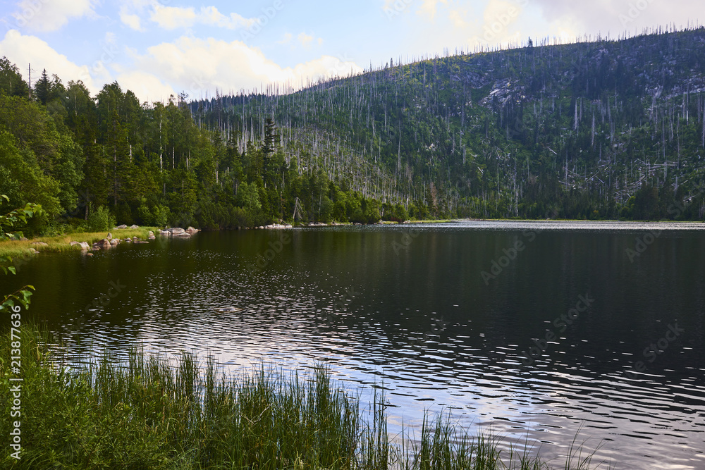 Plesne lake in Sumava national park (Bohemian Forest) in Czech republic