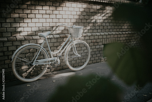 moody picture of hipster woman bike with grunge overlay 