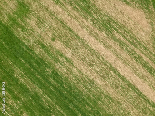 green fields textures aerial view