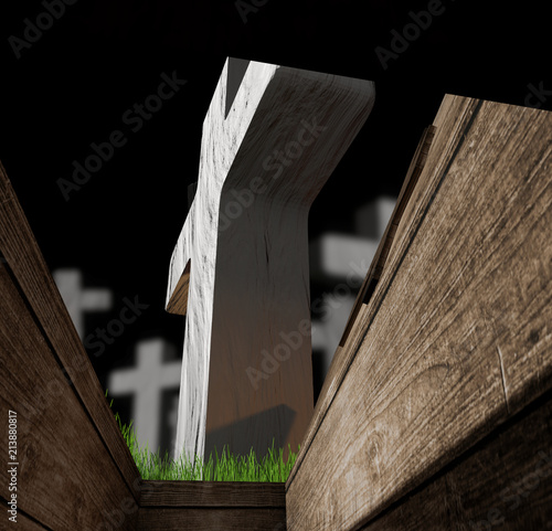 view from buried coffin in ...