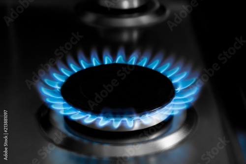 Gas Burner with Blue Flames © BillionPhotos.com