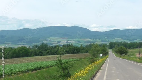 富良野盆地と夏の山