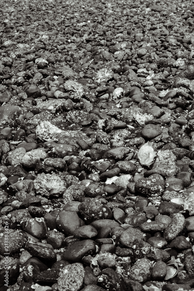 pebbles on beach pebbles on beach