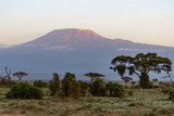 Mount Kilimanjaro in the Distance