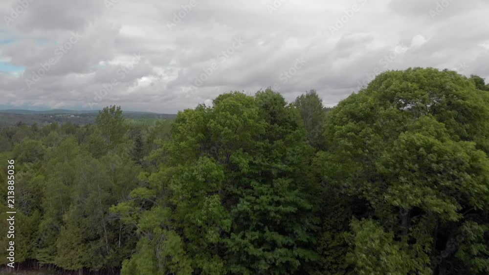 drone rising up to reveal forest quebec farmland in spring, 4k drone rising up to reveal forest quebec farmland in spring, 4k