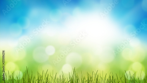 green grass meadow lawn blades of grass 3d-illustration