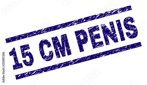 15 CM PENIS stamp seal watermark with distress style. Blue vector rubber print of 15 CM PENIS text with dust texture. Text title is placed between parallel lines.
