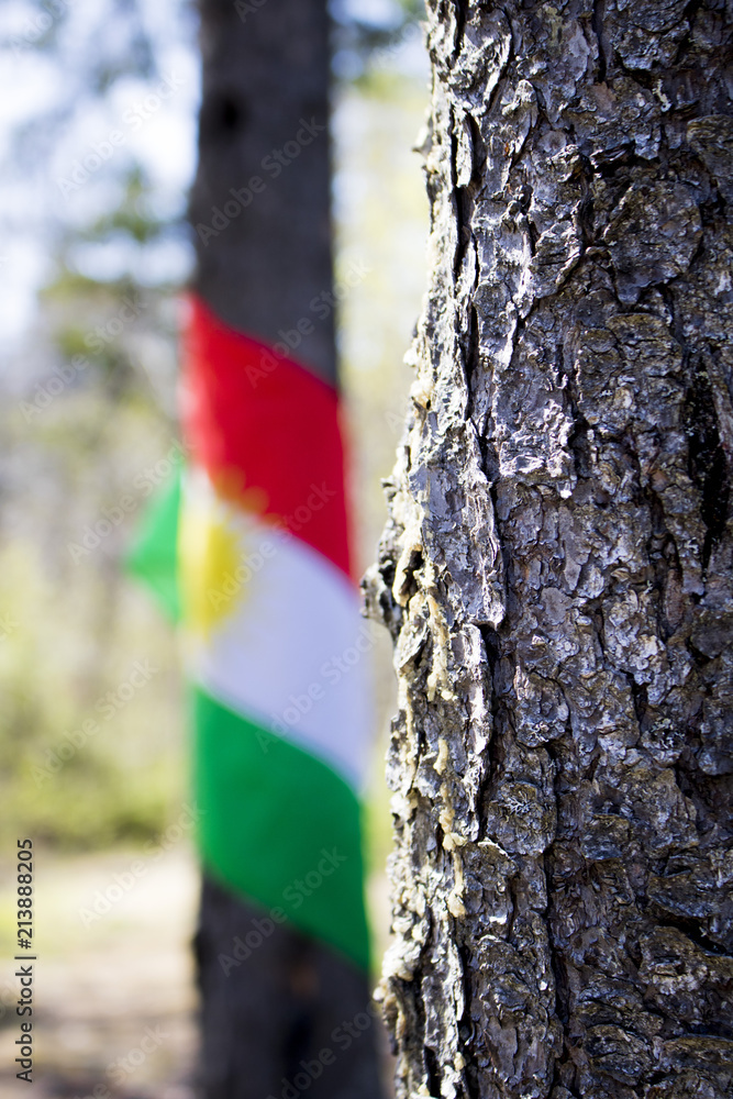 Fototapeta premium Tree flag