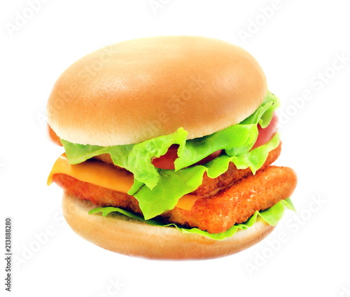 Photo of a bright macro of a delicious burger with fish