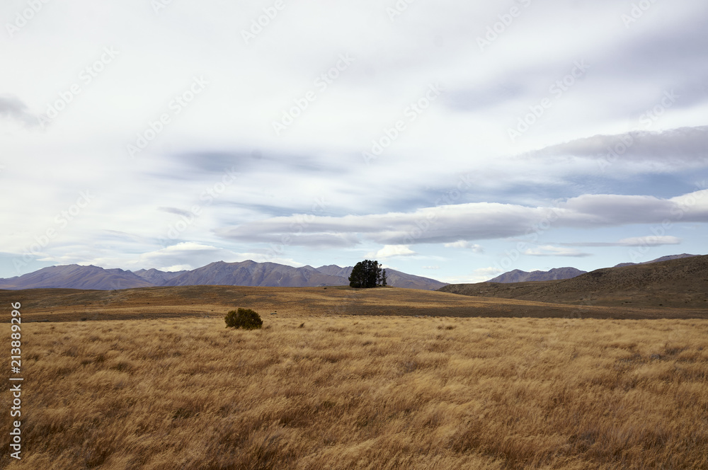 Obraz premium On the field