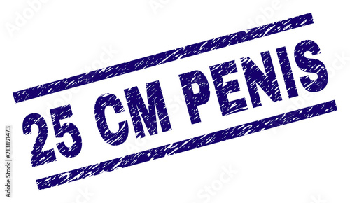 25 CM PENIS stamp seal watermark with grunge style. Blue vector rubber print of 25 CM PENIS text with scratched texture. Text label is placed between parallel lines.